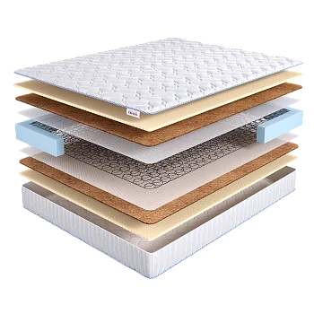 Base Medium 2 Bonnel